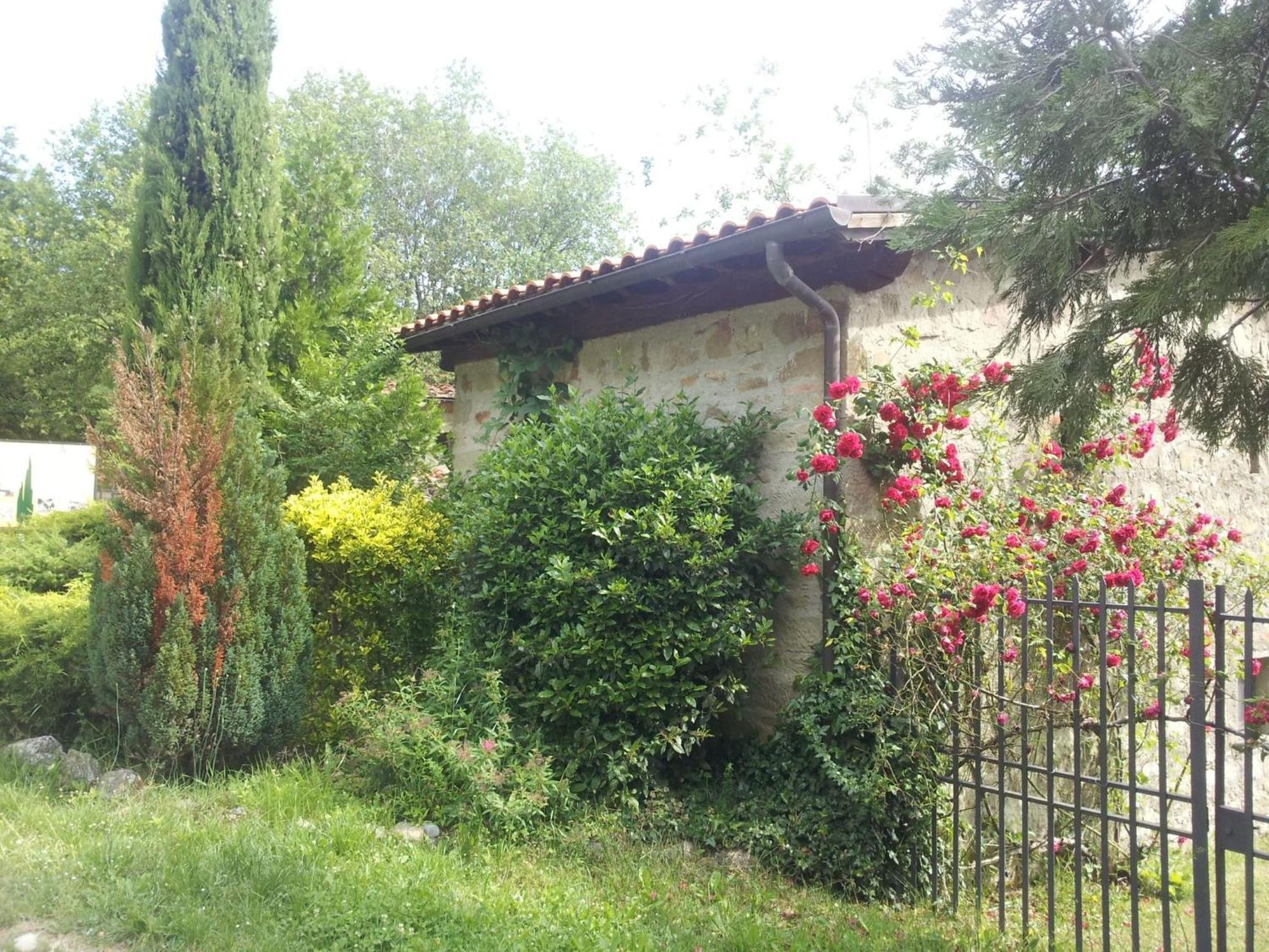 Willa Fattoria Il Praticino - Metato Castelfranco di Sopra Zewnętrze zdjęcie